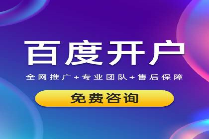 解析某某SEM服务公司的广告投放策略与效果评估